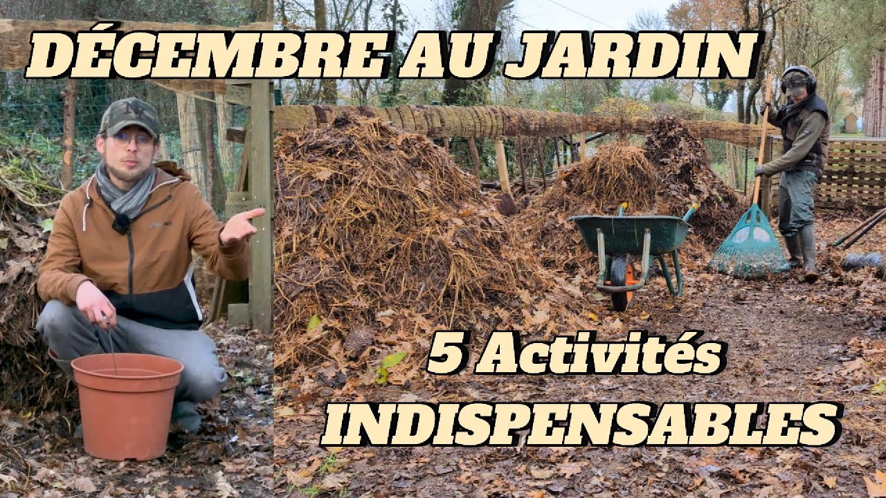 D&eacute;cembre au jardin : 5 activit&eacute;s incontournables pour l&rsquo;hiver !