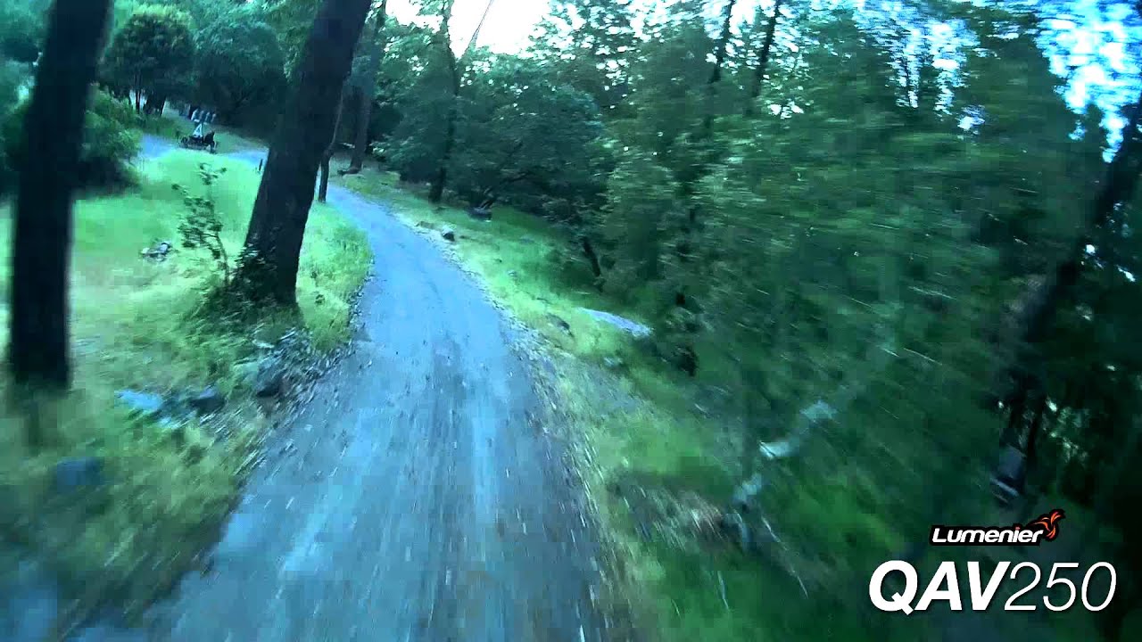 Drone Racing in the Woods