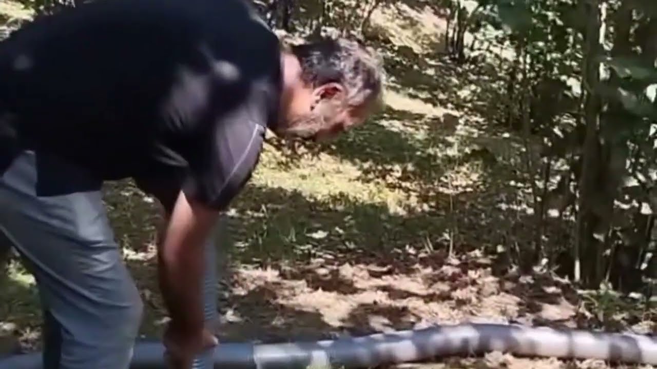 FINDIK VE ÇAY TOPLAMA
