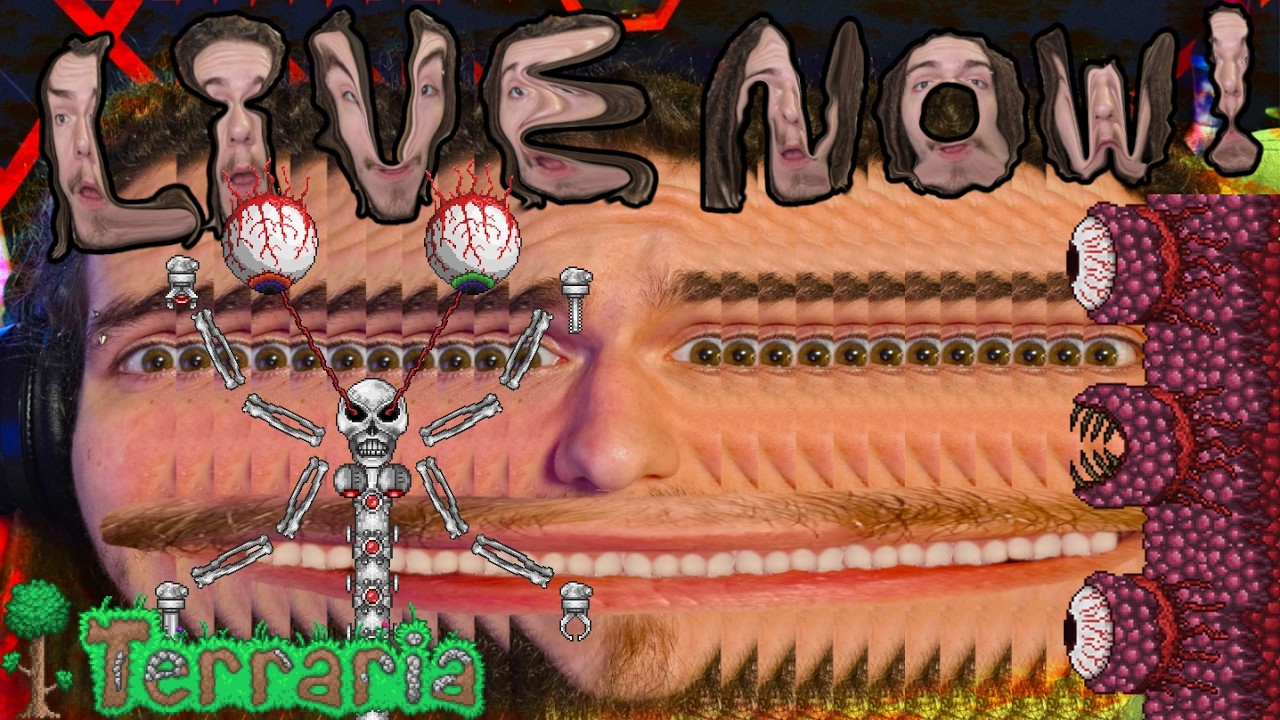 Having My Viewers Beat Bosses In Terraria LEGENDARY