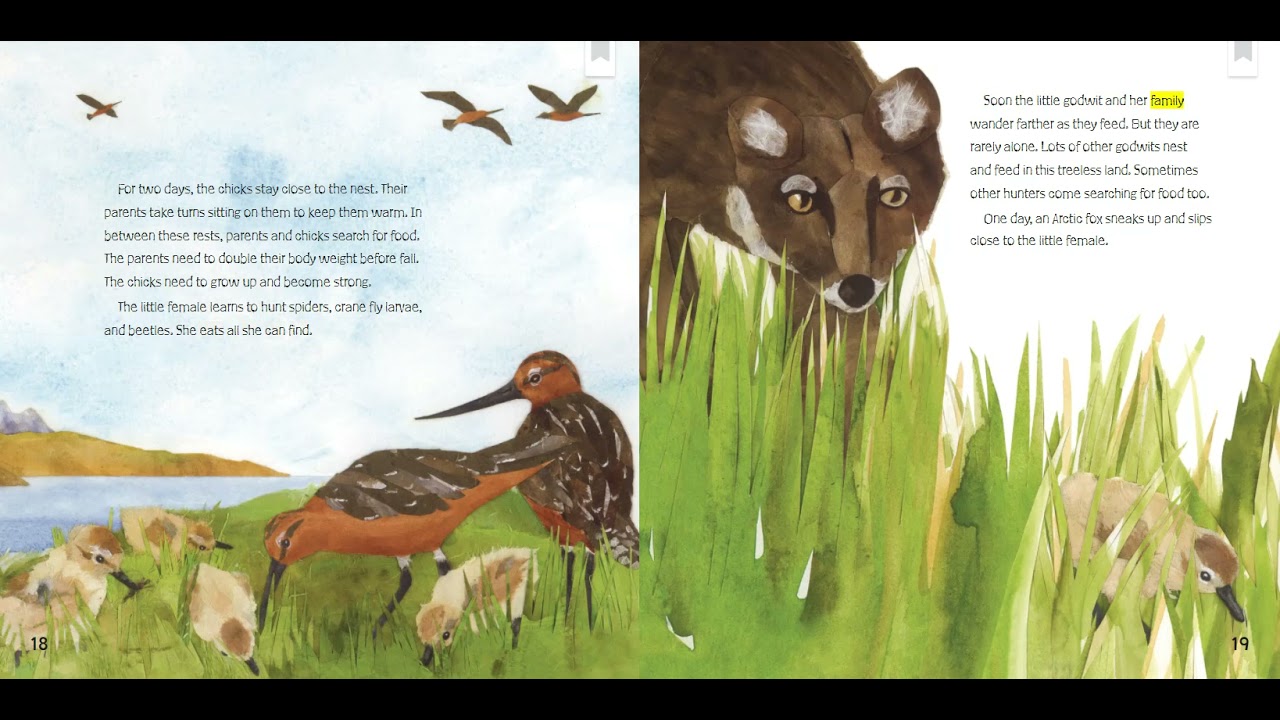 HMH Read Aloud - The Long, Long Journey - 2nd grade