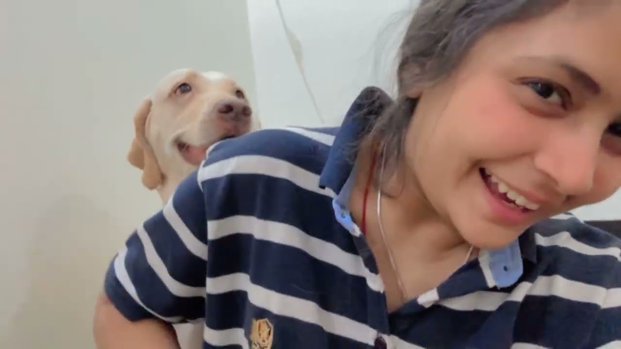 My Dog’s Daily Dose of Cuteness 🐶💫”