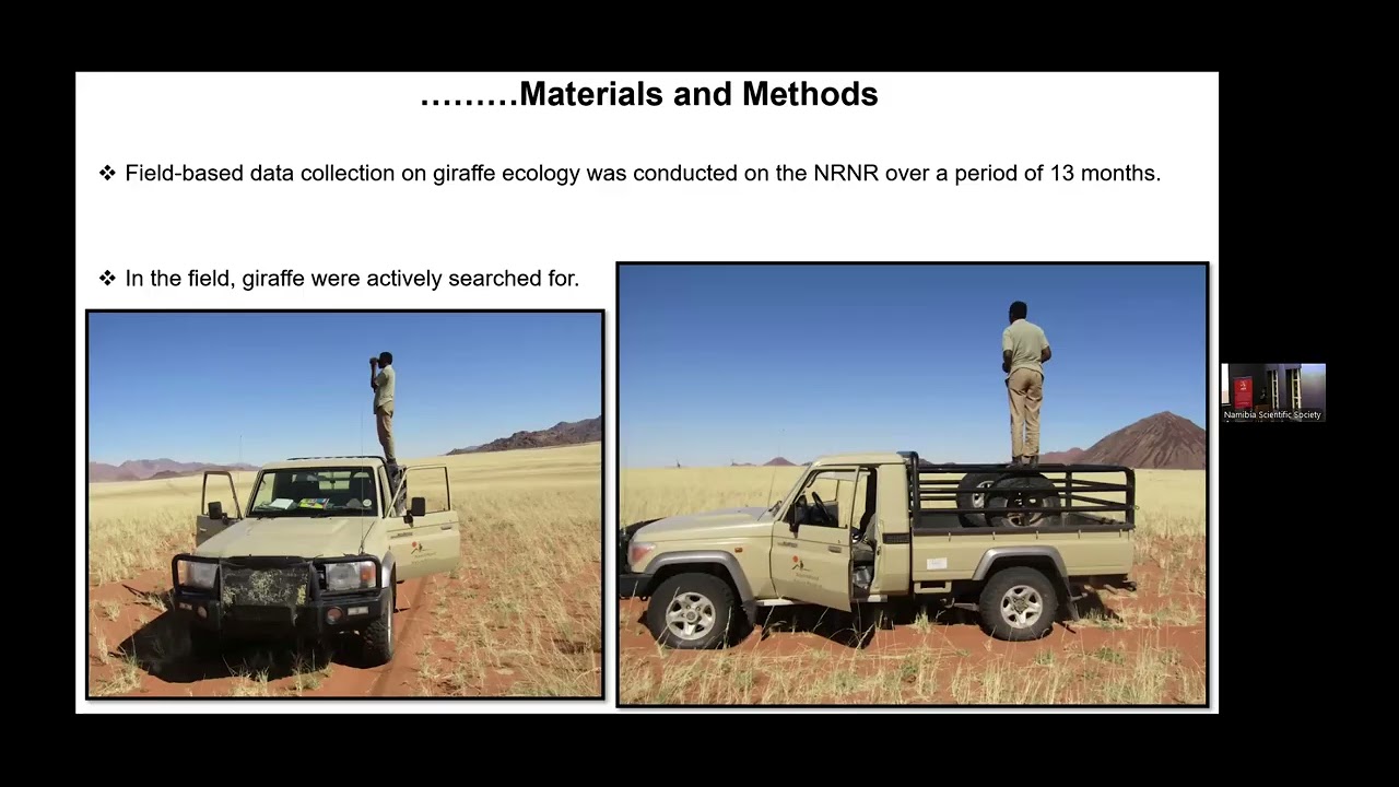 NEWS presentation: Re-introduction of Giraffes into the Namib by Zazapamue