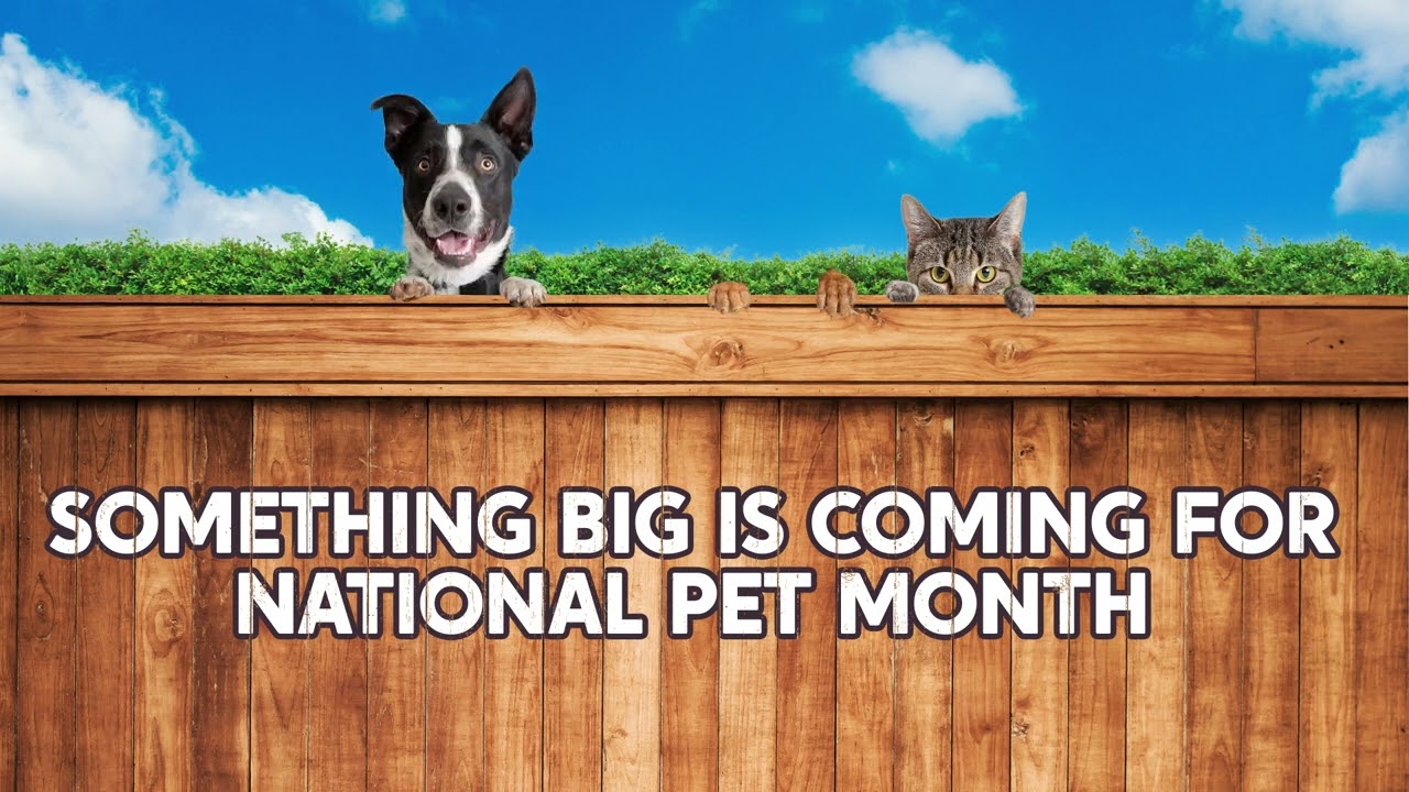 2023 National Pet Day | Lamar Advertising Company