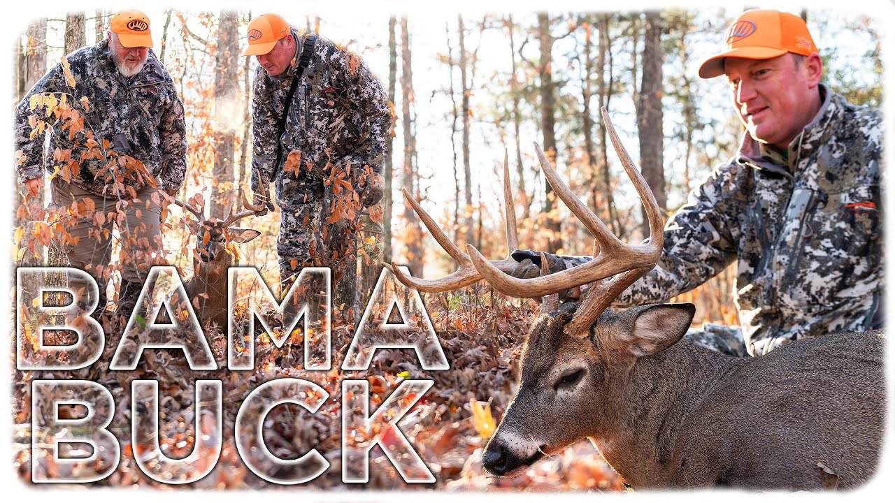 Tree Stand Rifle Hunt! | BIG Alabama Buck In A Clear Cut!