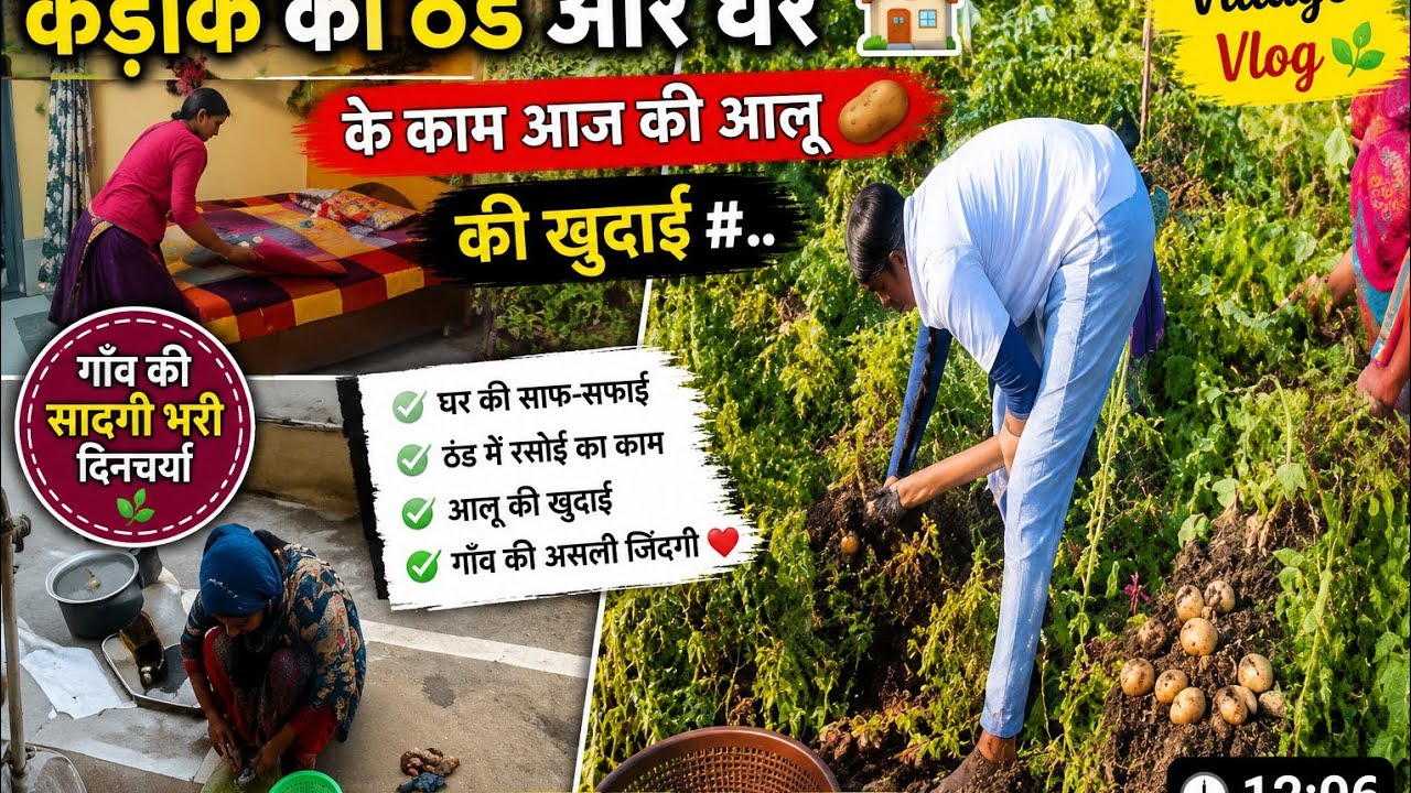 🙆कड़ाके की ठंड और घर 🏠के काम आज की आलू 🥔की खुदाई#housewifelife 
