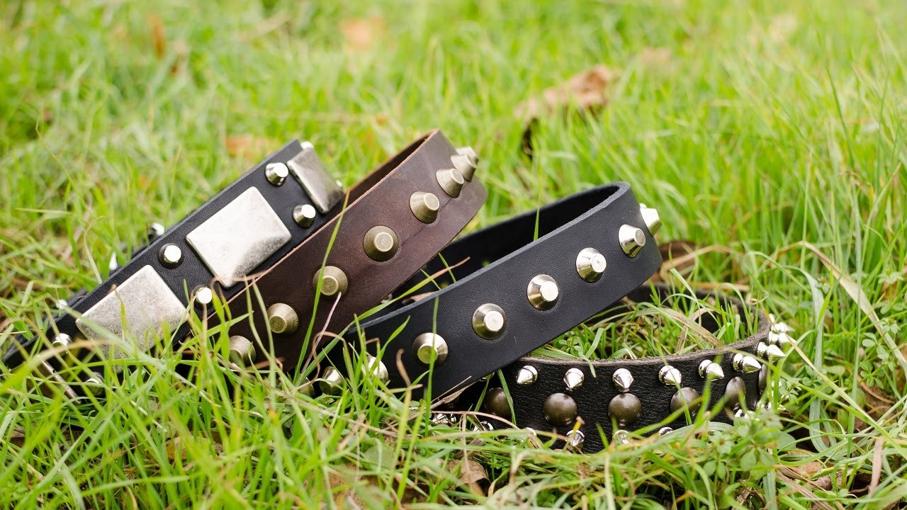 Fashion Dog Collars for Walking and Training