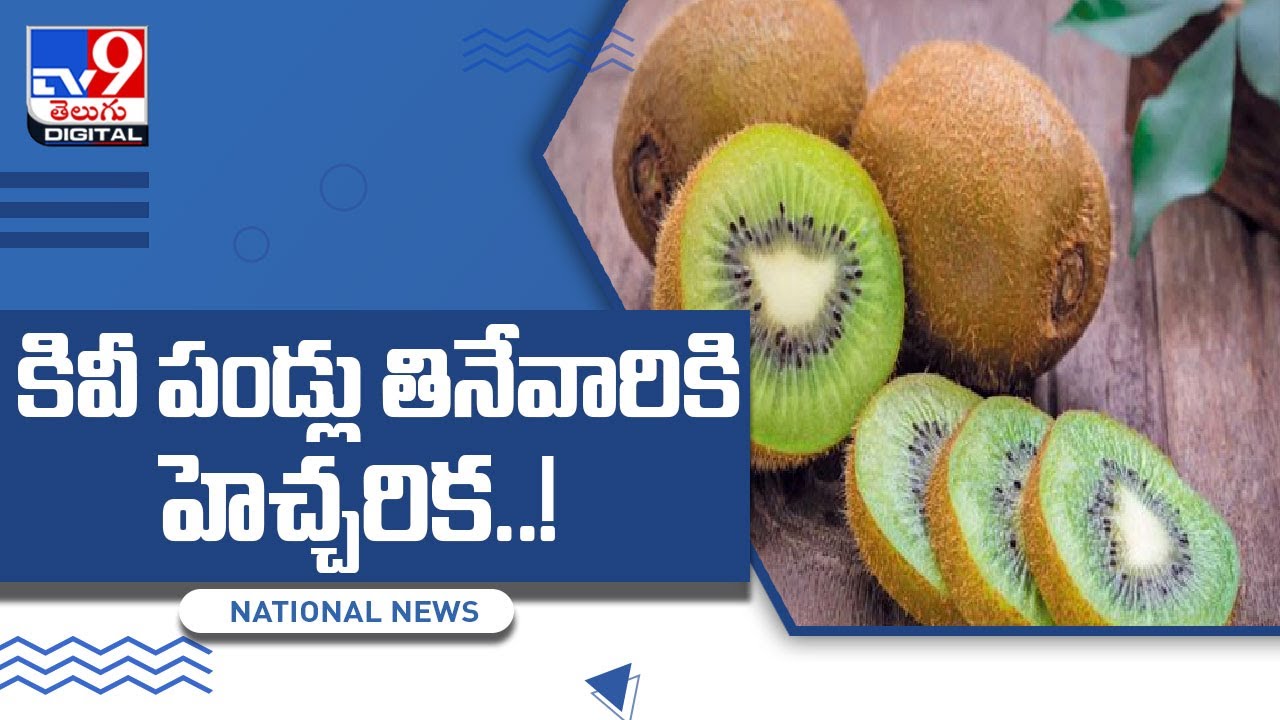 కివీ పండ్లు తినేవారికి హెచ్చరిక..! - TV9