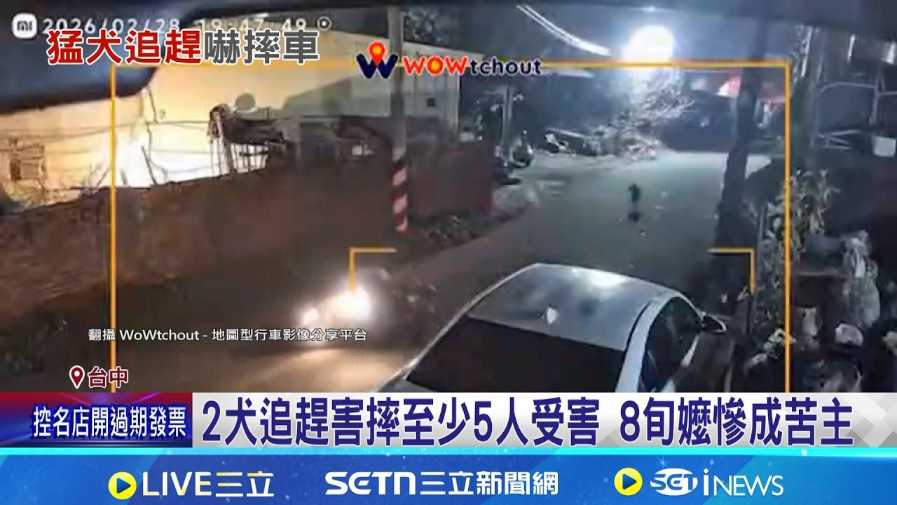 2犬追趕害摔至少5人受害 8旬嬤慘成苦主 有主犬.流浪狗生9幼崽壯大族群 居民苦不堪言│記者 謝昀蓁 劉瀚煒 賴志賢│新聞一把抓 20260302│三立新聞台