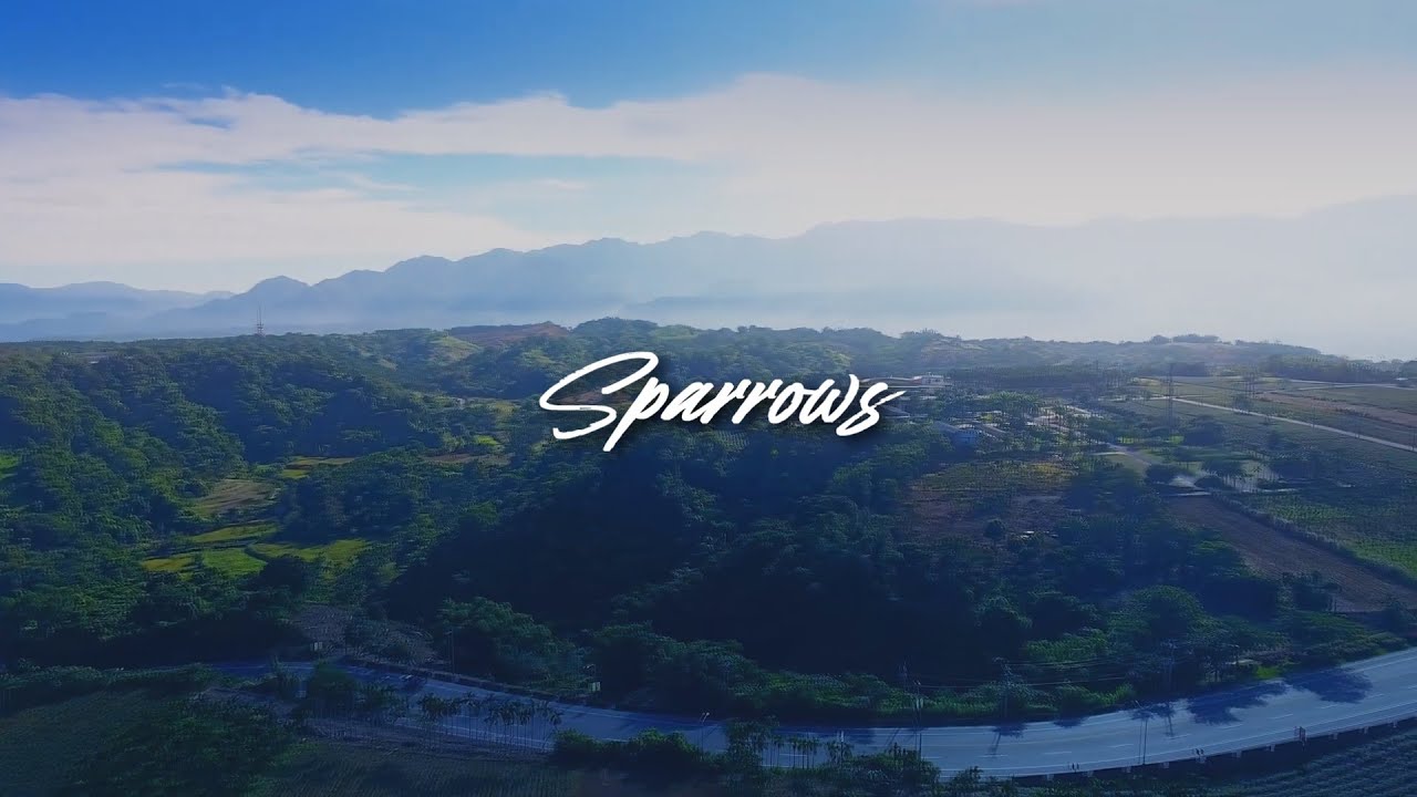 Cory Asbury - Sparrows (Lyric Video)