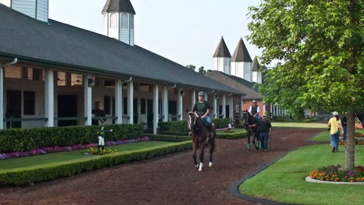 Padua Stables Ocala Florida