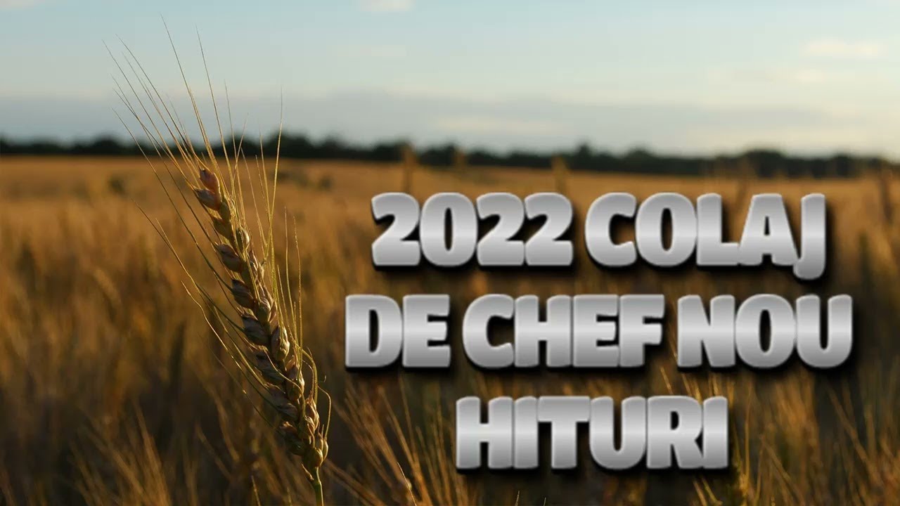 muzica moldoveneasca 2022 muzica moldoveneasca