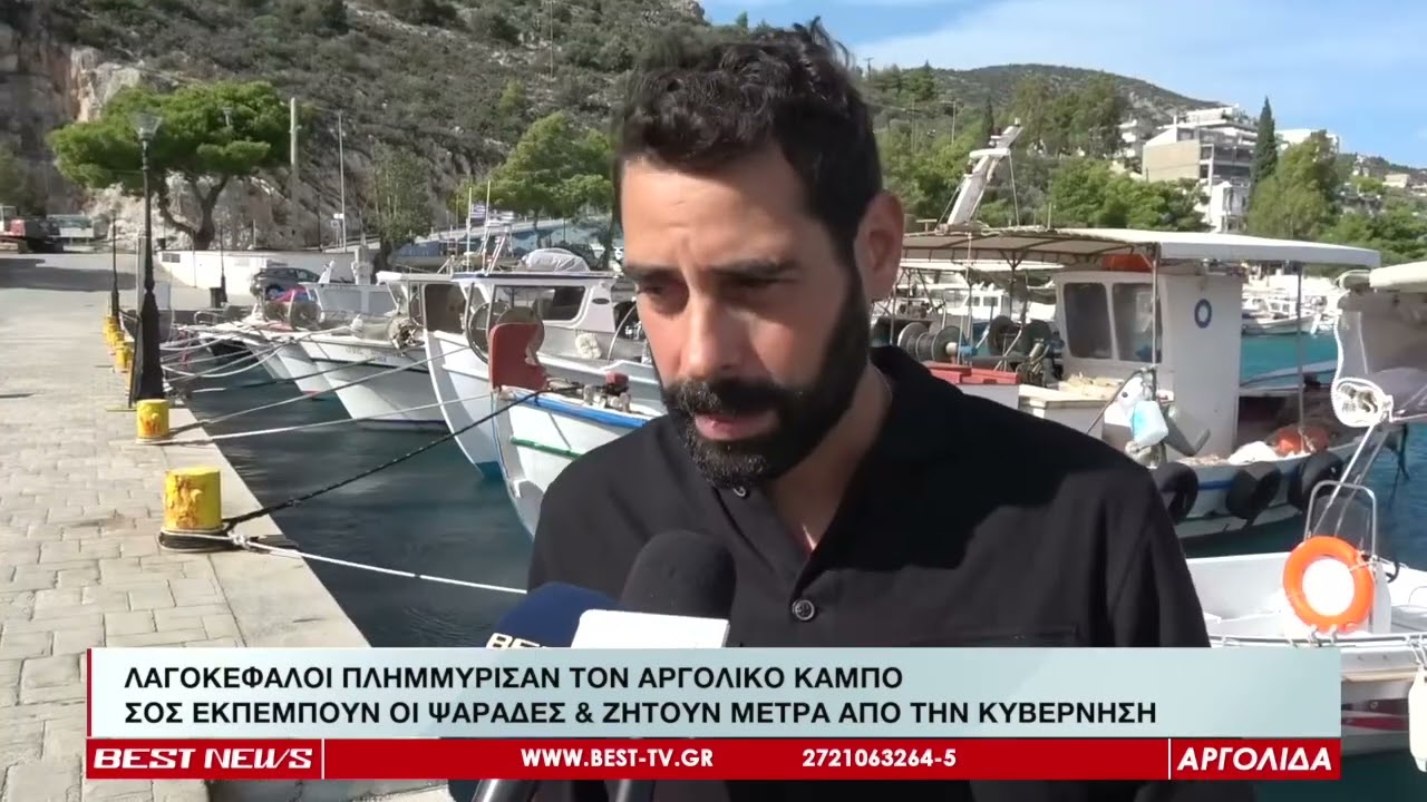 ΛΑΓΟΚΕΦΑΛΟΙ ΠΛΗΜΜΥΡΙΣΑΝ ΤΟΝ ΑΡΓΟΛΙΚΟ ΚΑΜΠΟ - ΔΙΑΜΑΡΤΥΡΟΝΤΑΙ ΟΙ ΨΑΡΑΔΕΣ