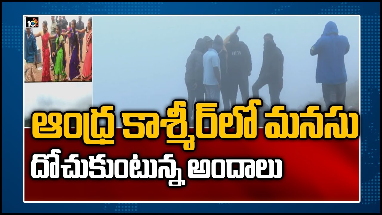 ఆంధ్ర కాశ్మీర్ లో మనసు దోచుకుంటున్న అందాలు | Special Focus On Andhra Kashmir Lambasingi | 10TV News