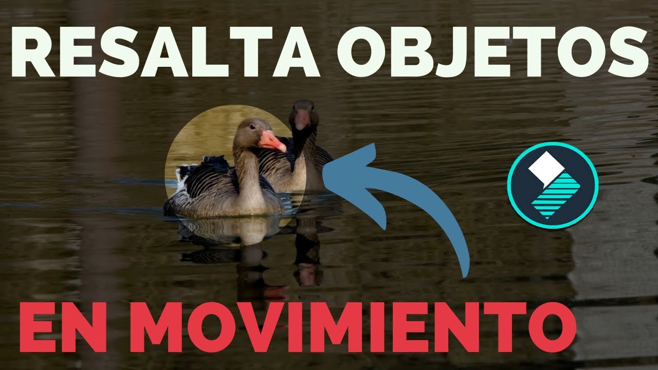Como RESALTAR OBJETOS En Movimiento | FILMORA X