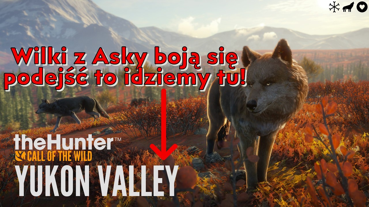 TheHunter Call Of The Wild - Yukon Valley! Wilki jak mnie widzą to Pitajom!