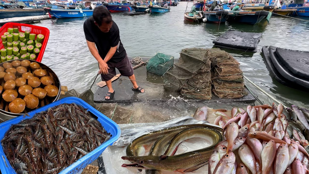 廣東 惠州惠陽 澳頭海鮮市場 大溫垻農貿市場 早上是本地人購買海鮮蔬菜的首選地方 腸粉 海鮮面其  牛肉丸 農貿市場各種食材豐富 Seafood Market StreetFood Citywalk