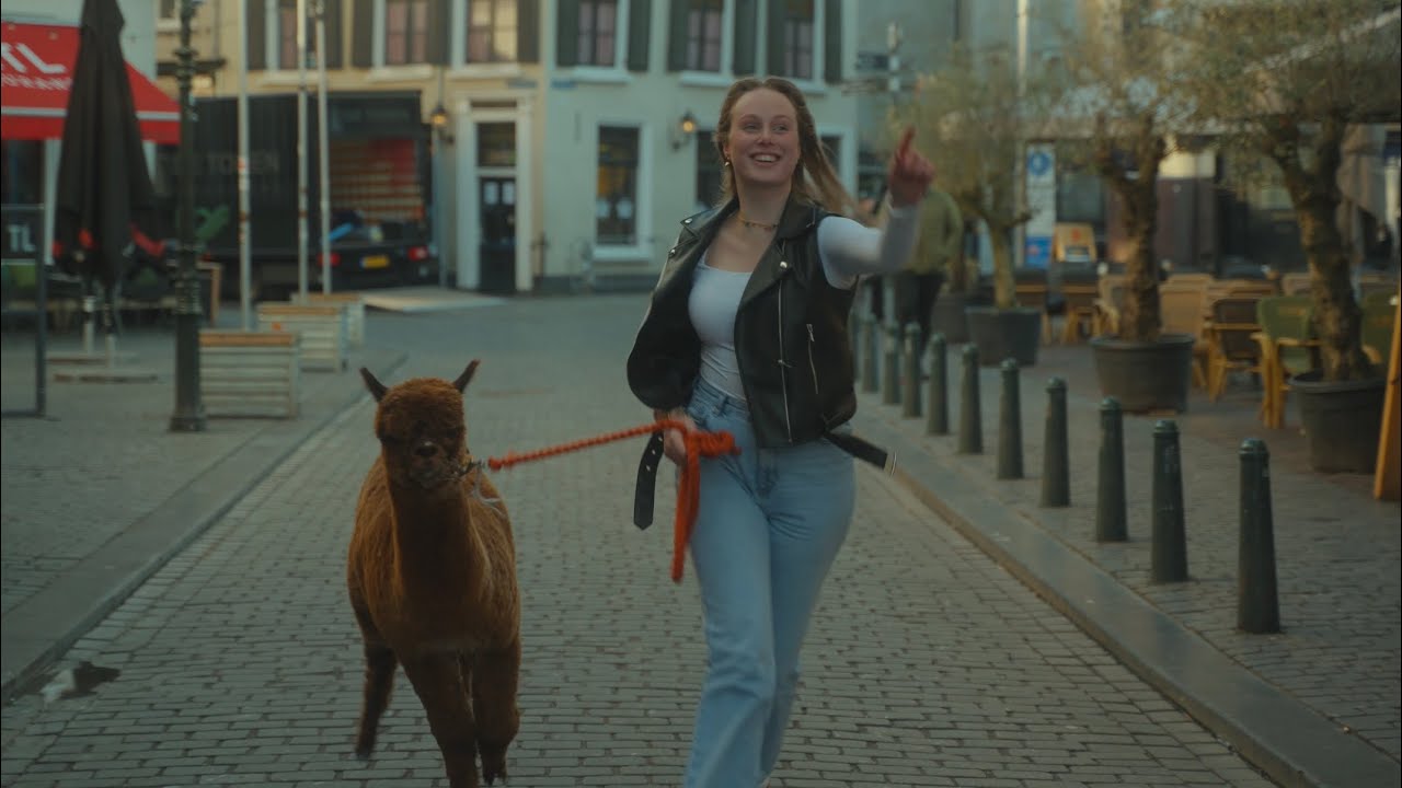 De Alpacinos - Mijn Alpaca (Carnaval 2025)