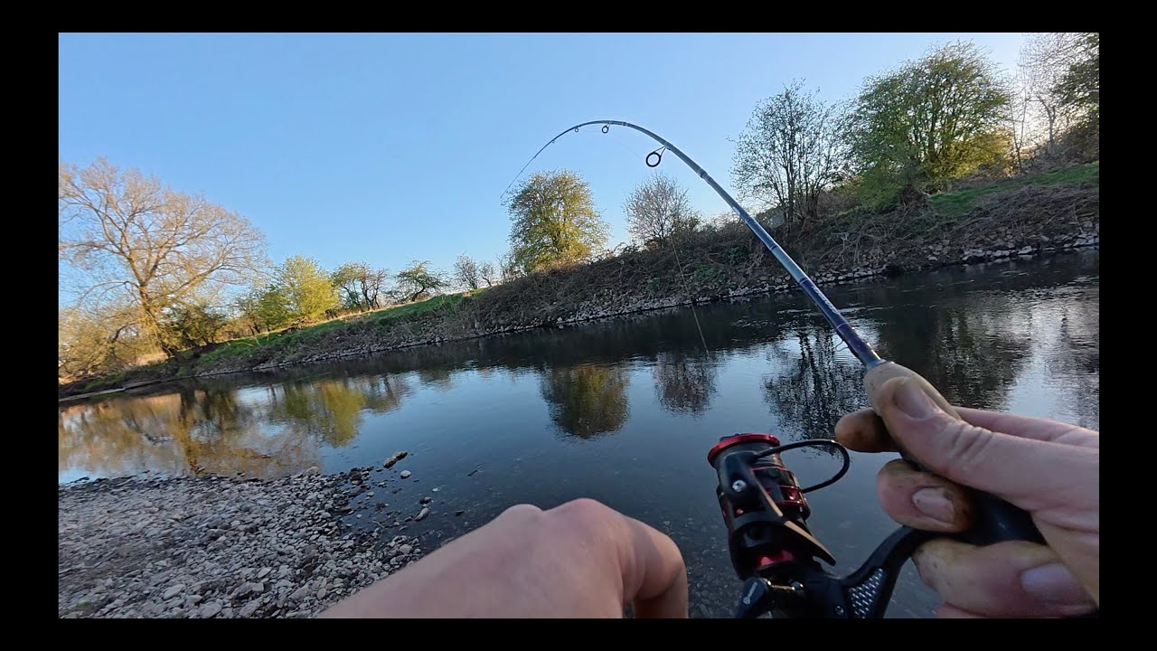 Trout fishing on my local river
