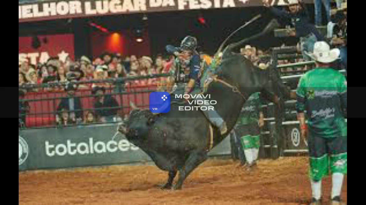 RODEIO AS MELHORES DAS ARENAS 2