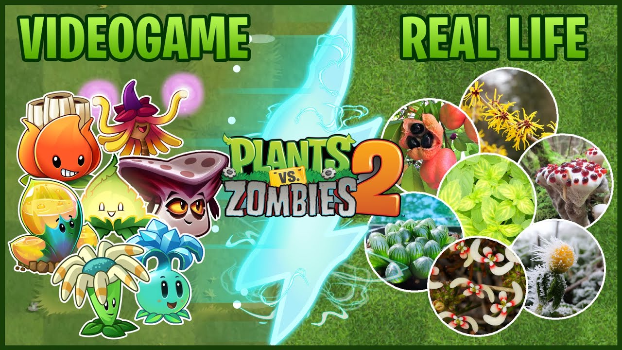 Plants vs. Zombies 2 Plants in Real Life