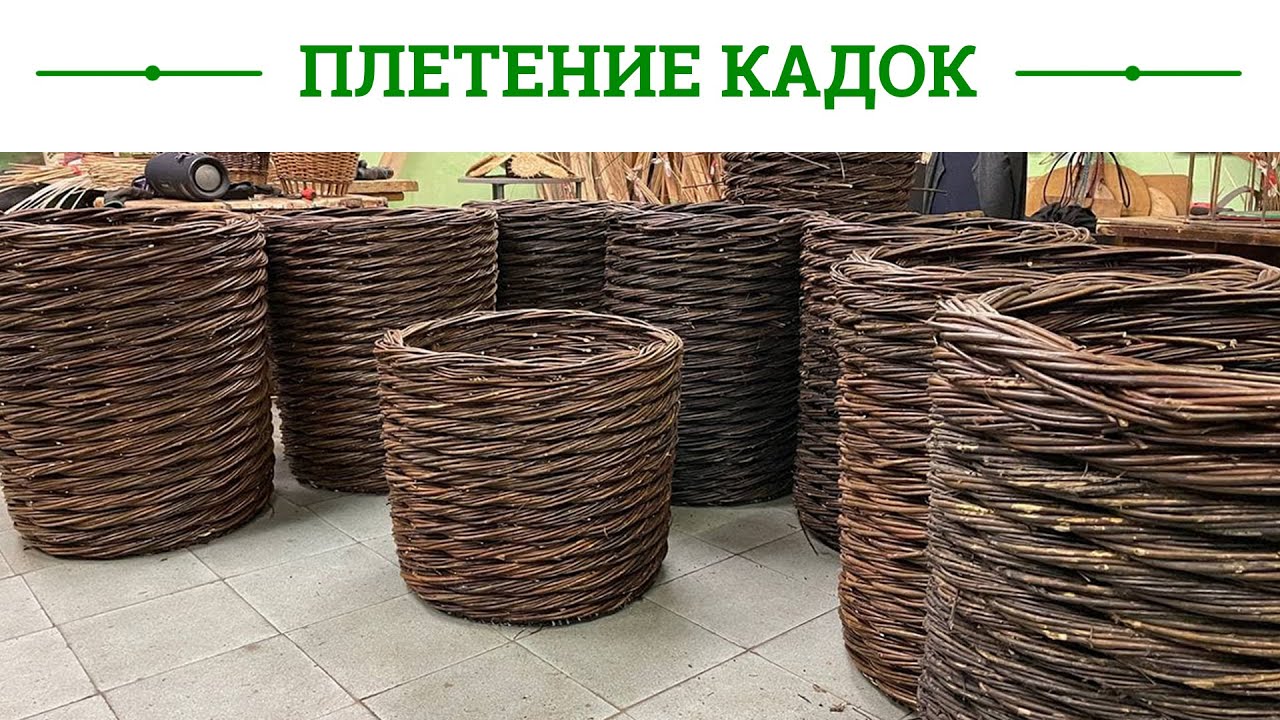 Русская ива. Мастер-класс. Плетение кадки из ивовой лозы.