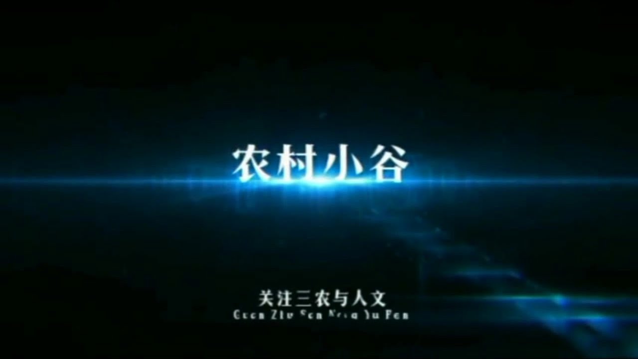 大姐演唱豫剧《拷红》经典选段，唱的太好了，大气听不够