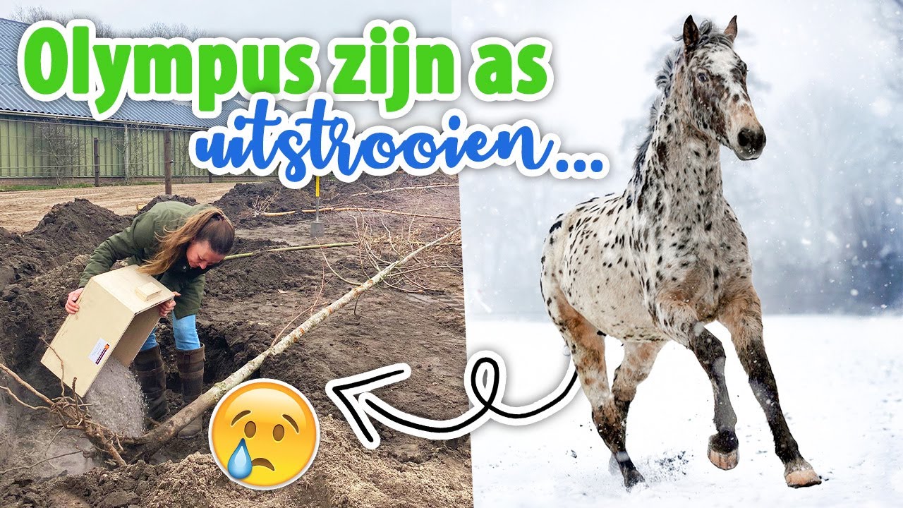 Olympus zijn as uitstrooien bij de nieuwe bomen & HET IS AF! | felinehoi VLOG #541