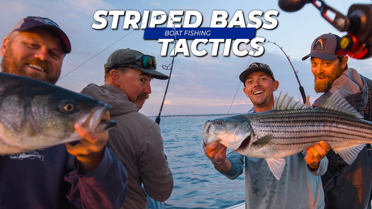 Striped Bass Tactics – Catching Stripers from a Boat