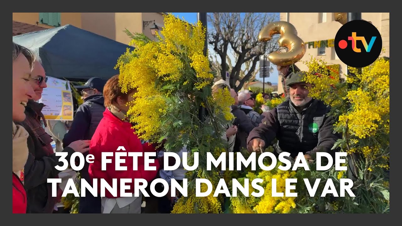 Succès de la 30ᵉ Fête du Mimosa à Tanneron dans le Var