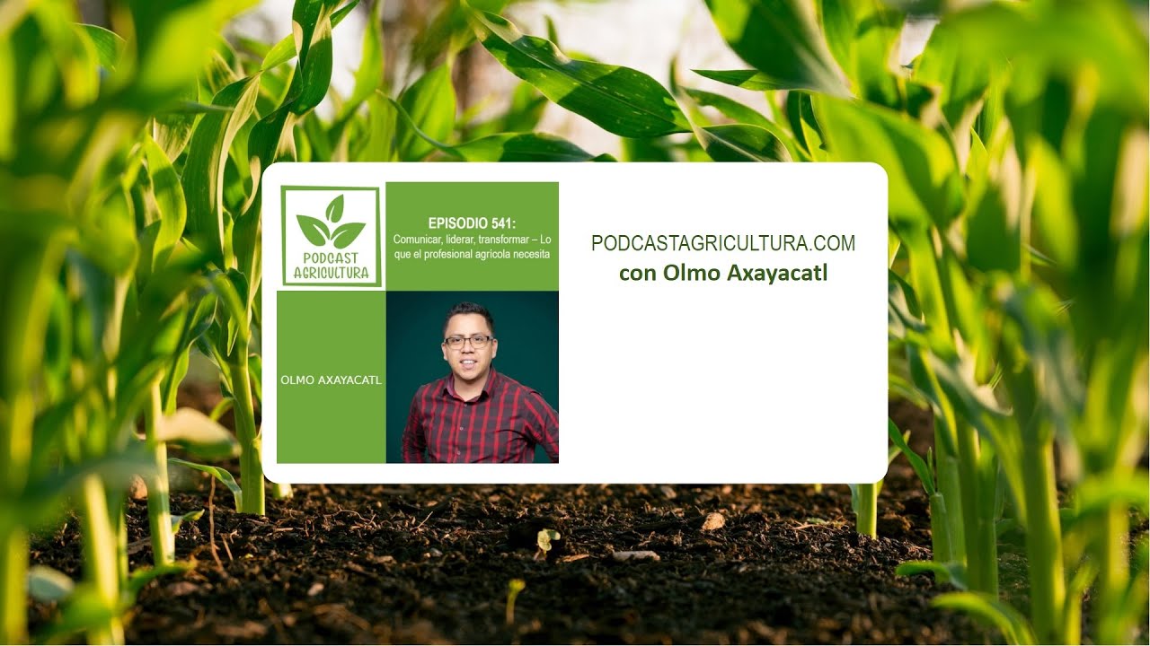 541 Comunicar, liderar, transformar – Lo que el profesional agrícola necesita