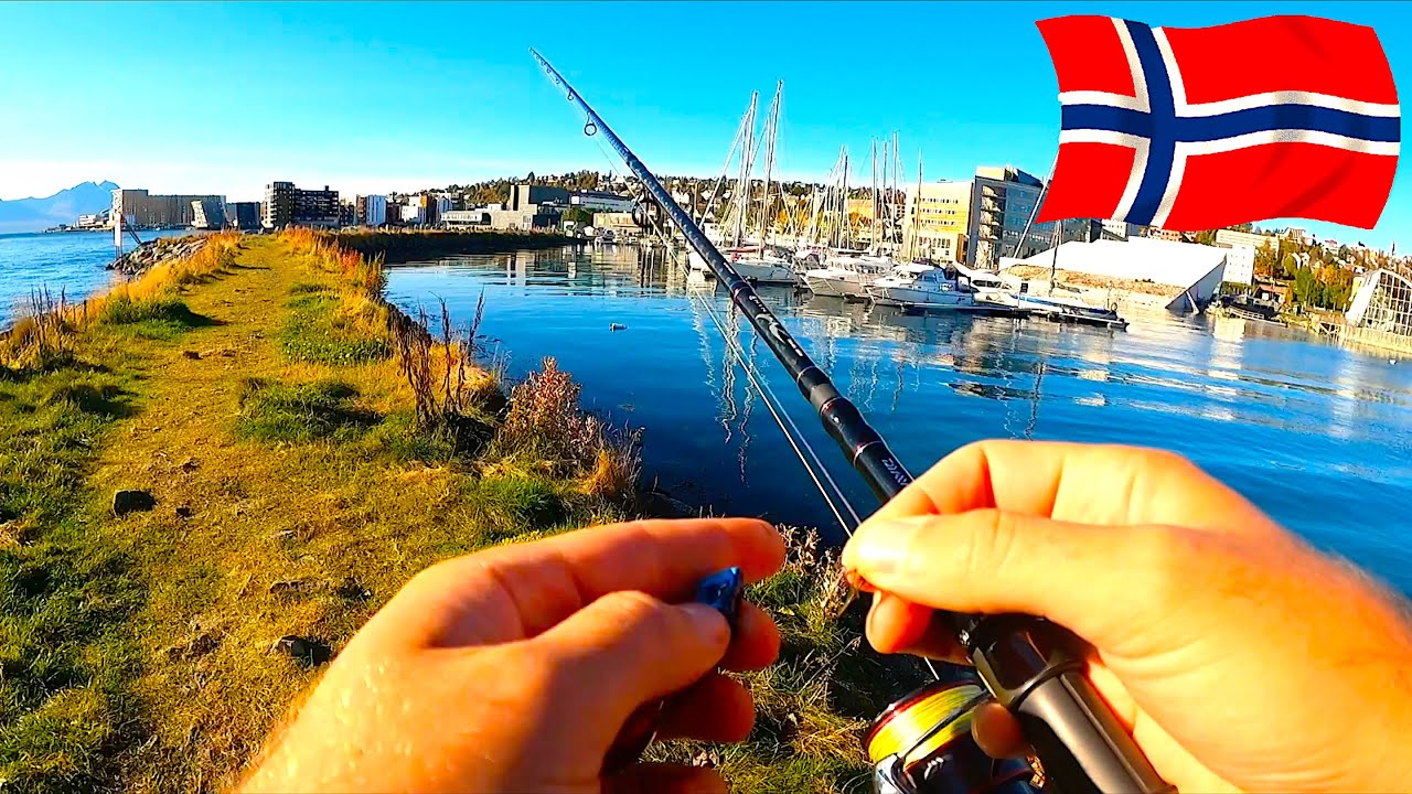 Entro in un Negozio di Pesca Norvegese e Pesco a Spinning nel CENTRO CITT&Agrave; [BIG FISH] - Troms&oslash; Vlog