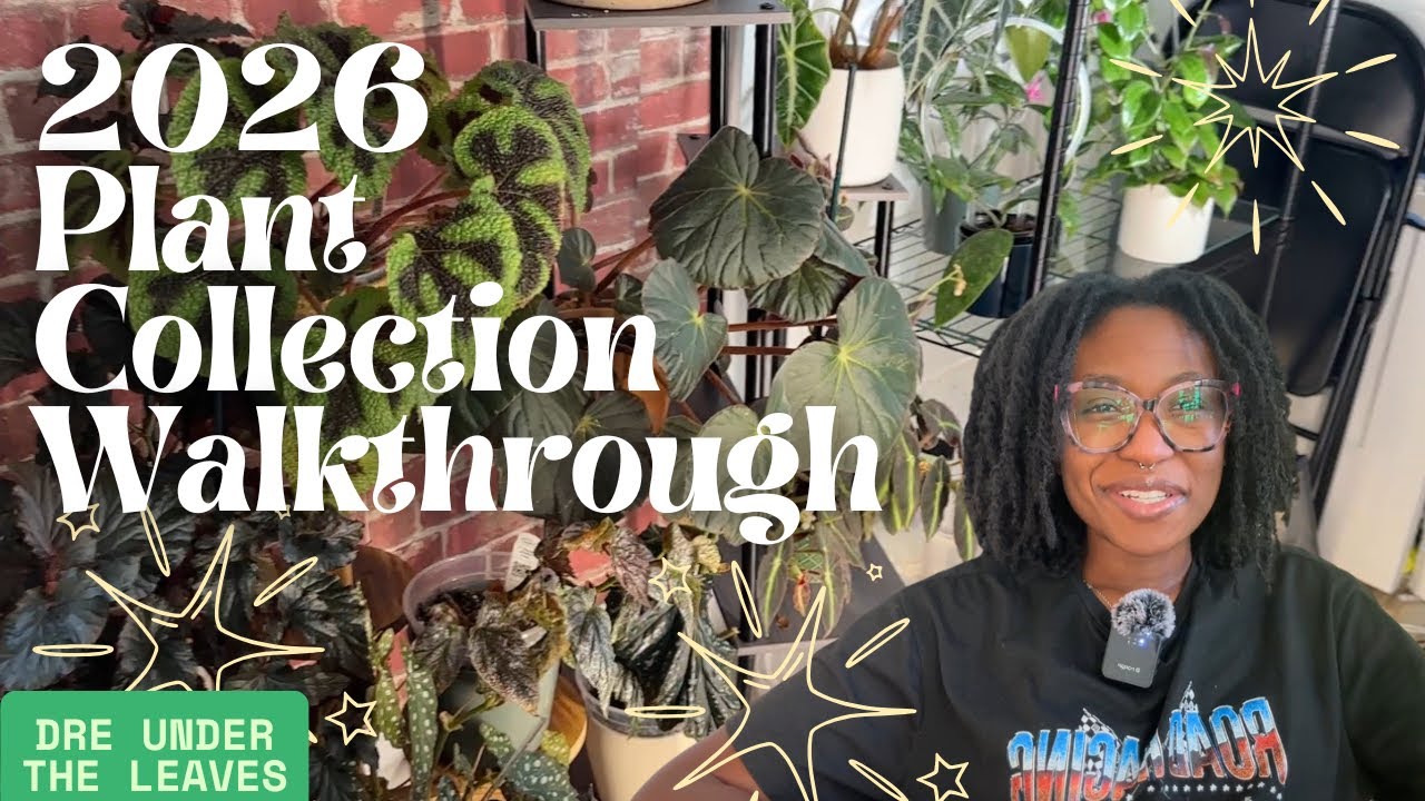 My 2026 Winter Plant Collection Walkthrough 🌿 Cozy Houseplant Tour + Growth Updates