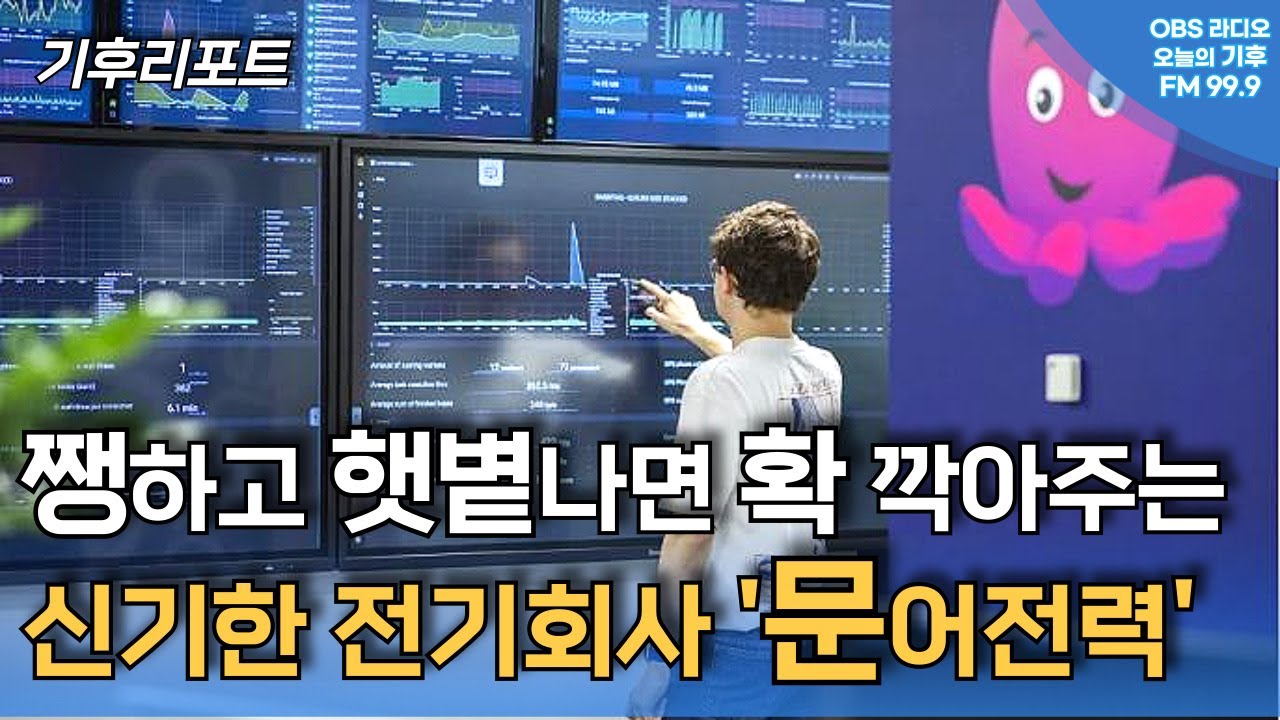 영국 점유율 1위의 재생에너지 기반 전력회사 '옥토퍼스' 성장비결