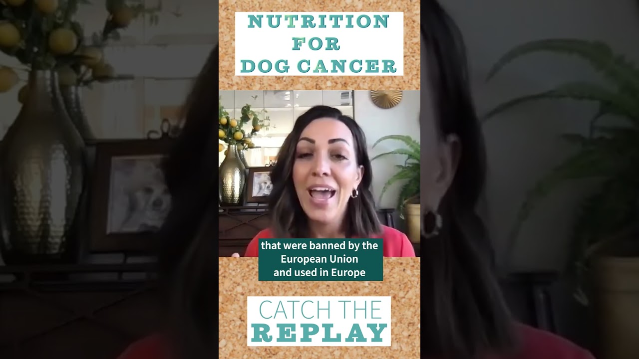 Nutrition for Dog Cancer