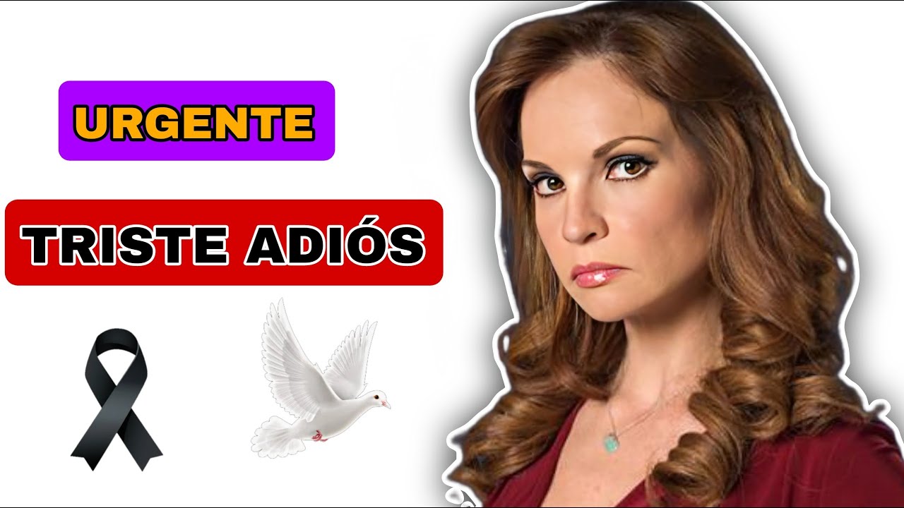 ¿Qué Pasó con Ana Patricia Rojo?