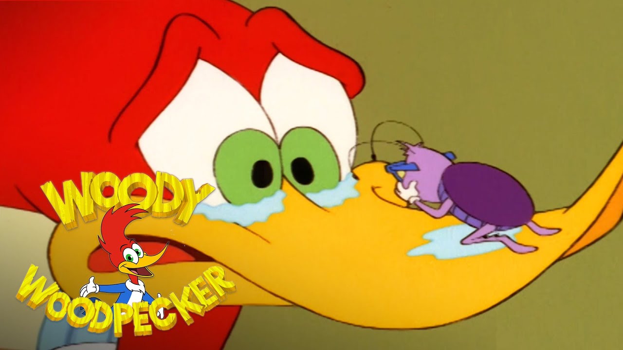 No More Freeloading | Full Episode | Woody Woodpecker
