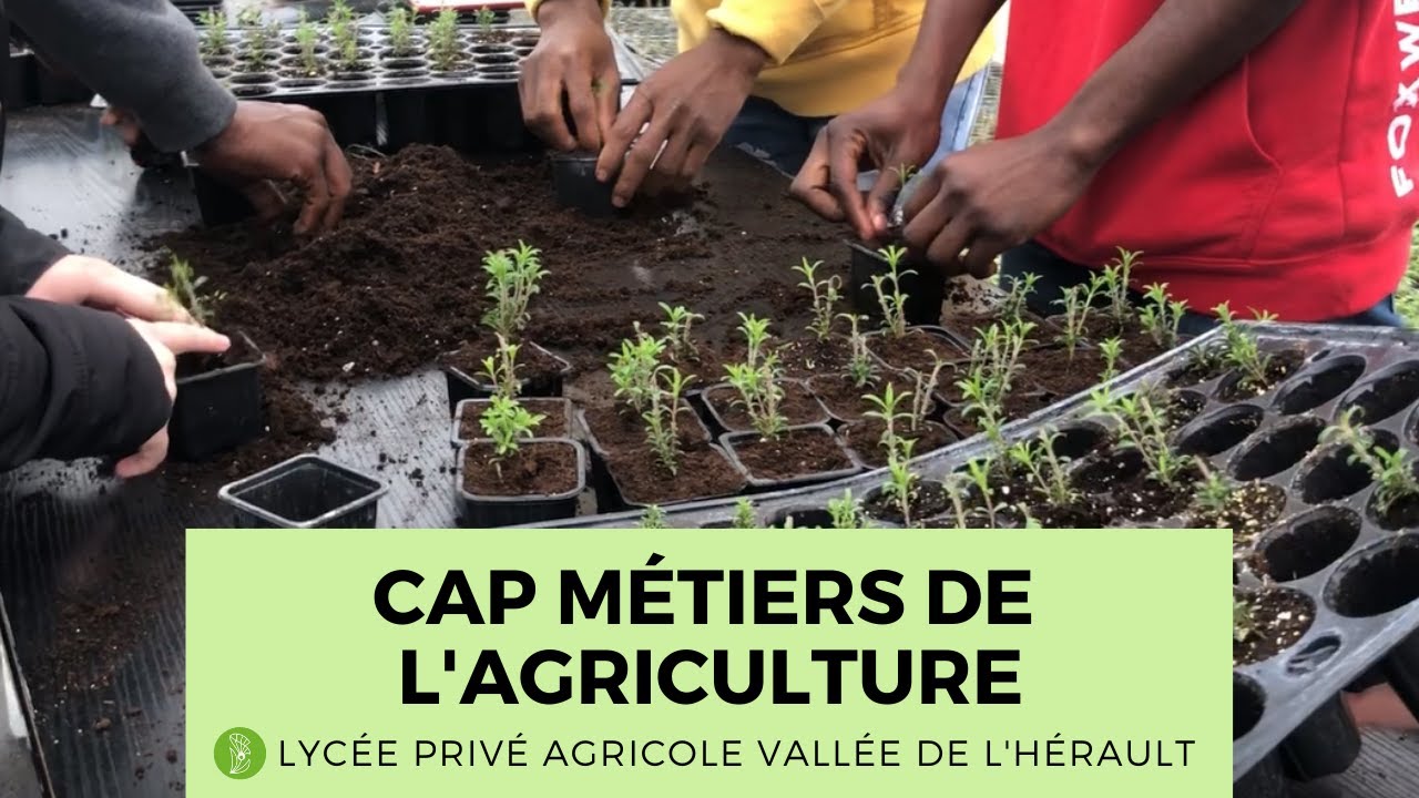 CAP Métiers de l'Agriculture - LPAVH