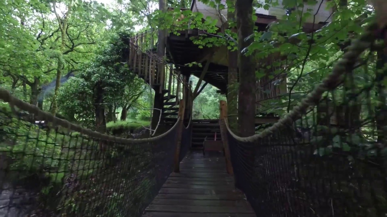 Living-Room Treehouse