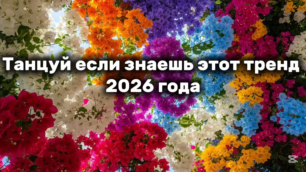 Танцуй если знаешь этот тренд 2026 года