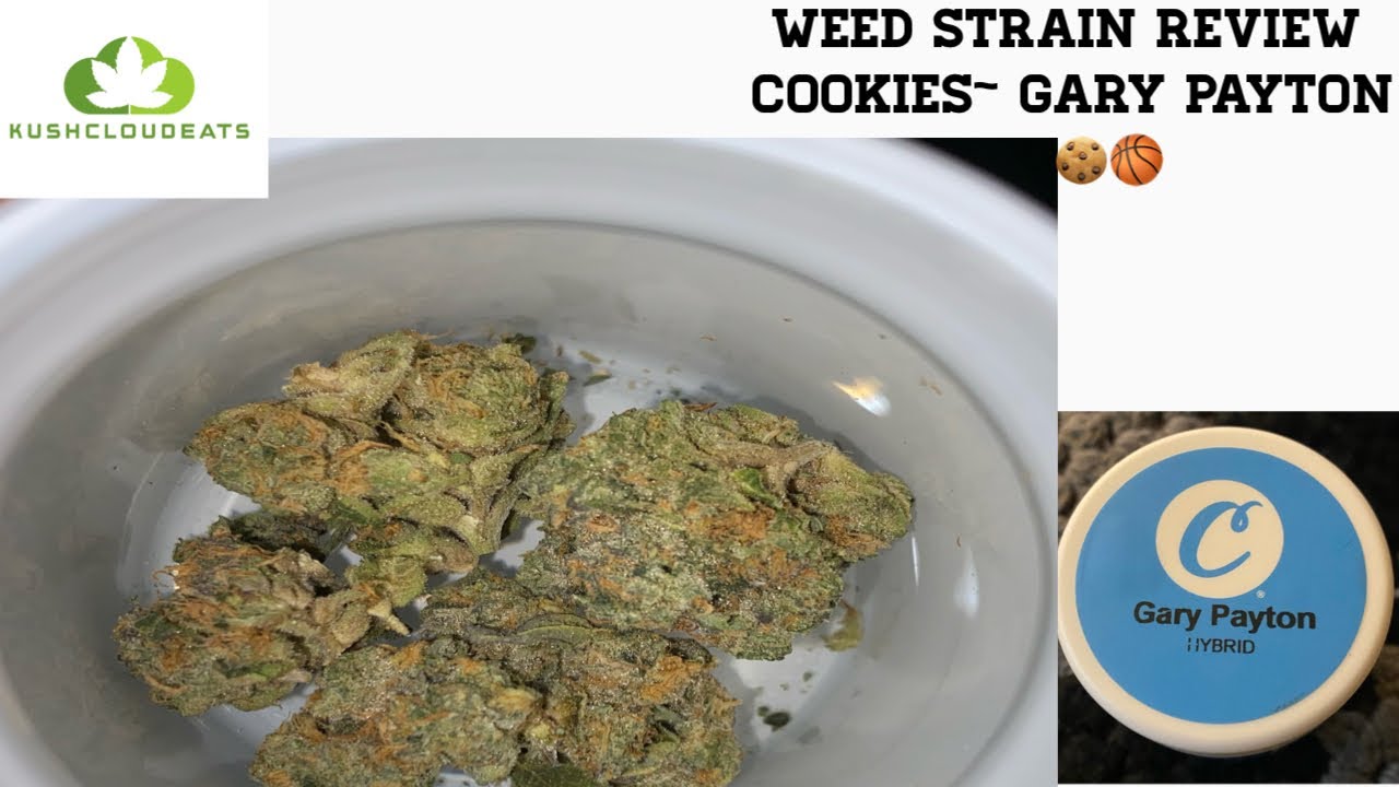 WEED STRAIN REVIEW‼️GARY PAYTON 🍪🏀