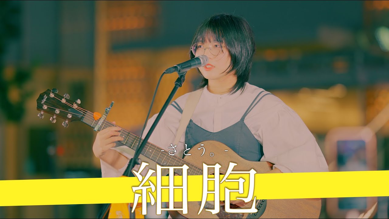 【歌詞付】天才を発掘しました。 細胞 / さとう。【歌舞伎町路上ライブ-24.9.26】