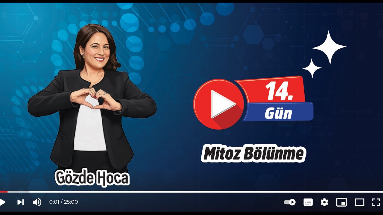 14.GÜN - MİTOZ BÖLÜNME