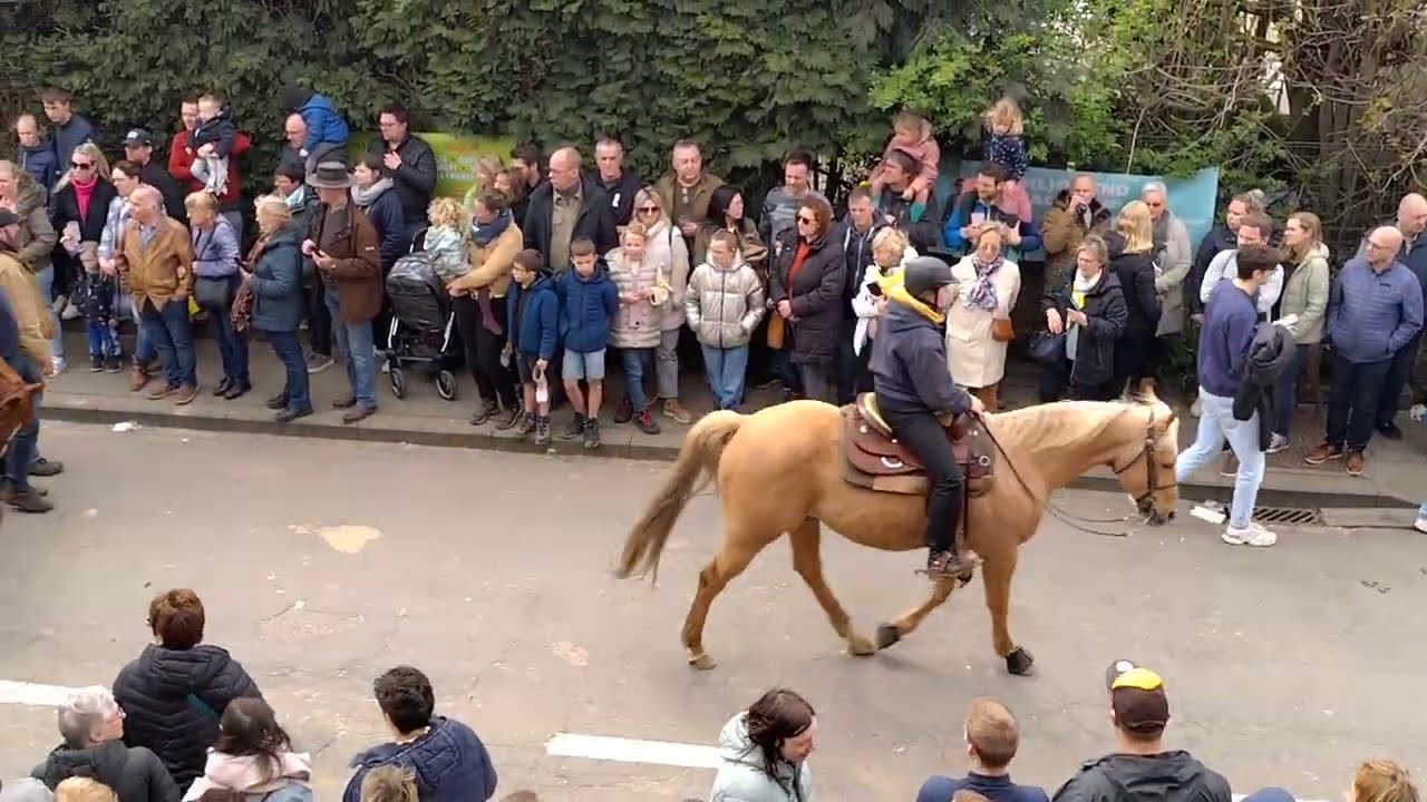 Paardenprocessie Hakendover 2023 🎉👰👼🐴🍻