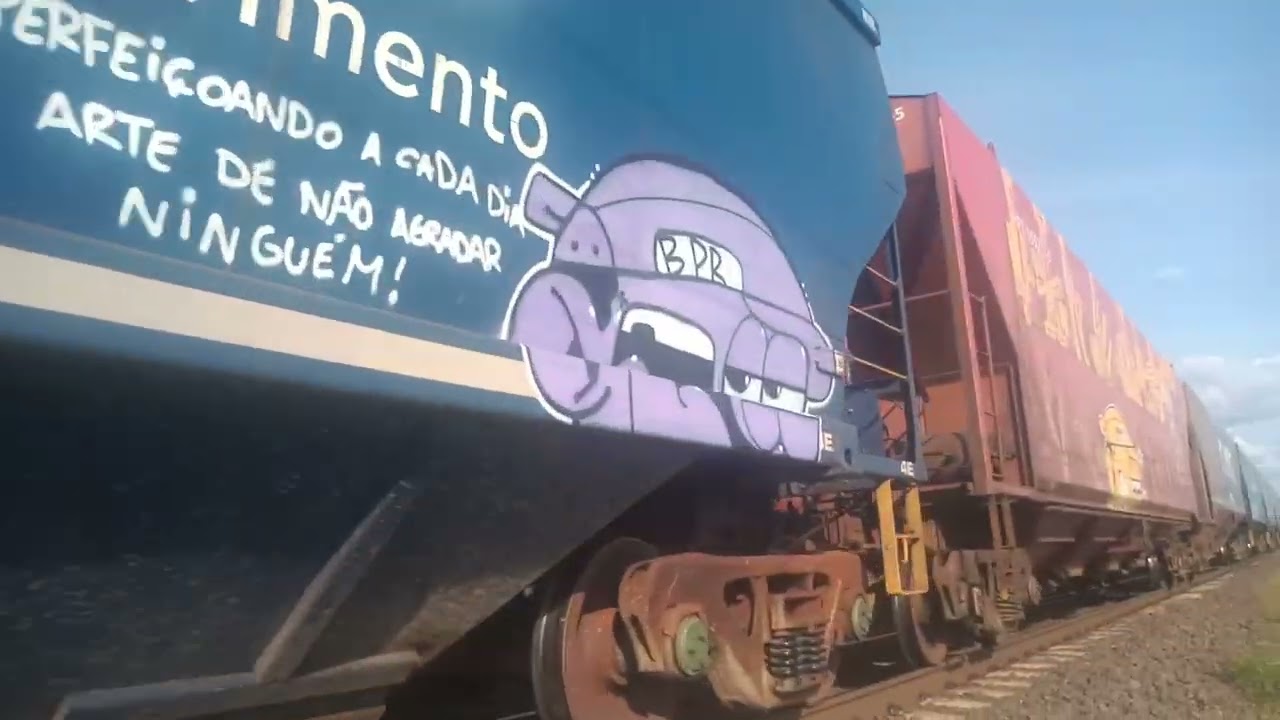 Train Da rumo Da Fibria