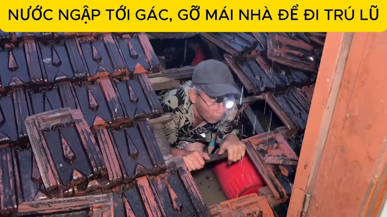 NƯỚC NGẬP ĐẾN GÁC , GỠ BỎ MÁI NHÀ ĐỂ ĐI TRÚ LỤT - CƠN LŨ LỊCH SỬ 2025 TẠI PHÚ YÊN #LULUTPHUYEN
