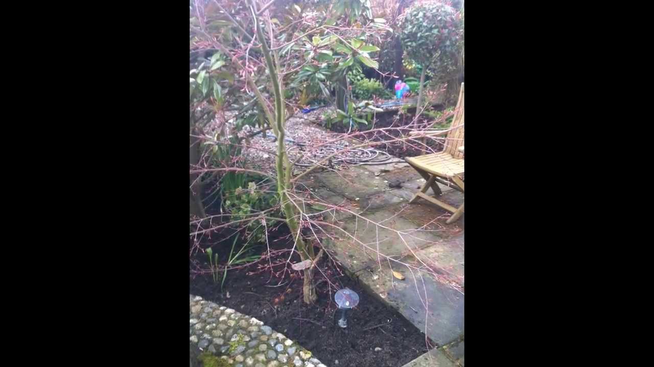 Garden Lighting  By Circuit Electrical Services Brighton & Hove