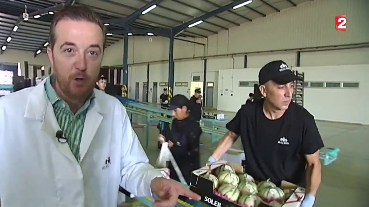 Le melon charentais   plutôt français ou espagnol
