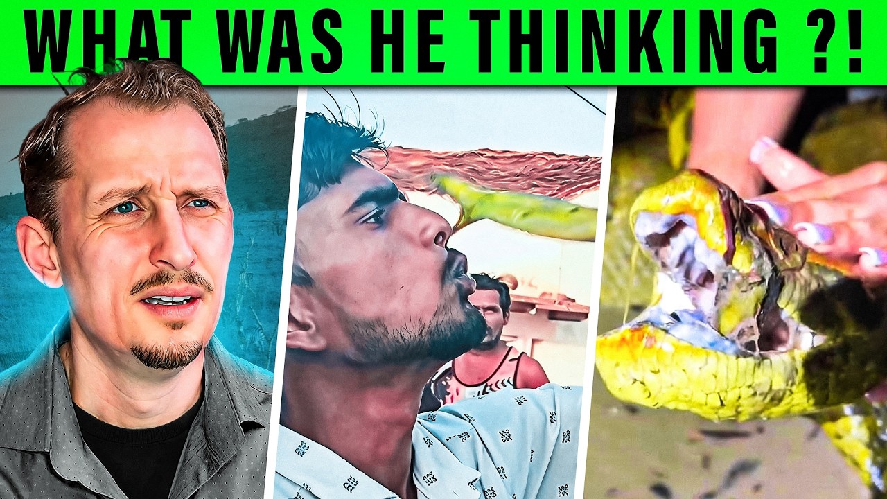 He Taunted a Cobra… It Struck. | Zoologist Reacts