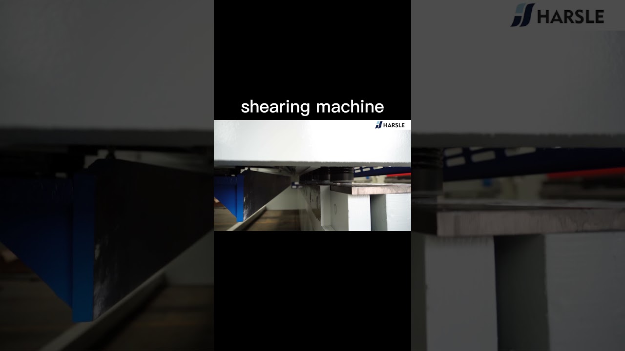 CNC guillotine shearing machine with DAC-310T
